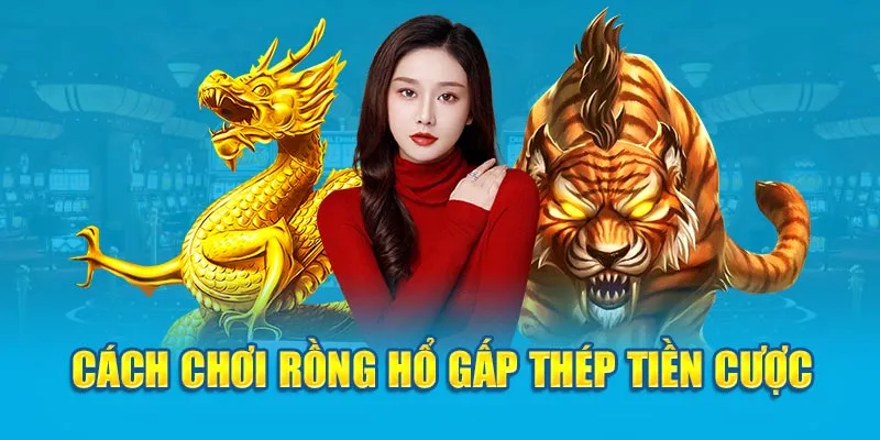 Cách chơi Rồng Hổ gấp thép tiền cược