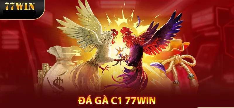 Đá Gà C1 | Trải Nghiệm Những Trận Đấu Đỉnh Cao Tại 77WIN